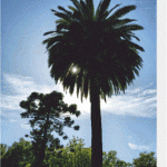 Imos de vacacións – agosto 2025