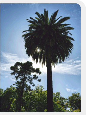 Imos de vacacións – agosto 2025